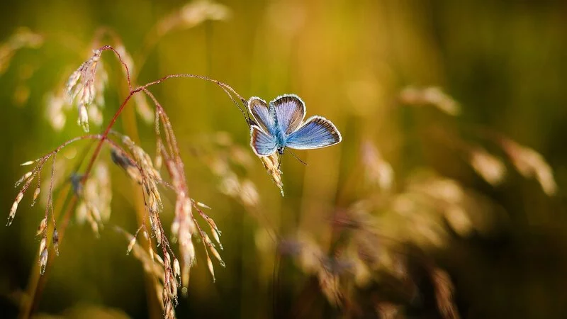 Сахалинцам дали прогноз погоды на лето