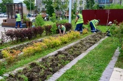 Бархатцы, бегония, сальвия: полторы тысячи цветов высадили в сквере в Луговом 