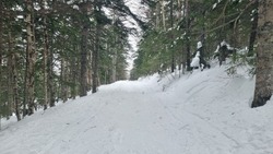 Северный ветер, небольшой снег: погода в Сахалинской области на день 17 февраля