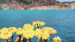 Волшебными снимками бирюзового озера поделилась сахалинка. Фото