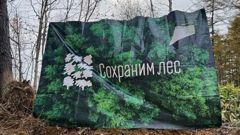 Жители Сахалина в рамках экоакции высадили 3,5 тысячи деревьев