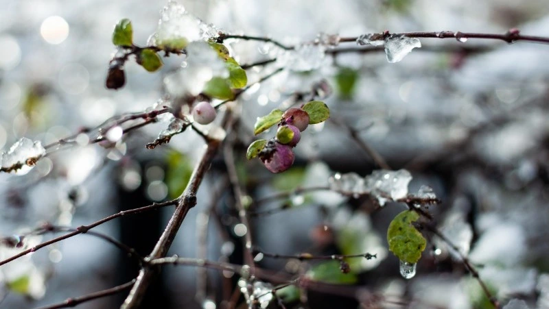 Приметы обо всем на 9 октября 2023 года: что можно и нельзя делать в этот день