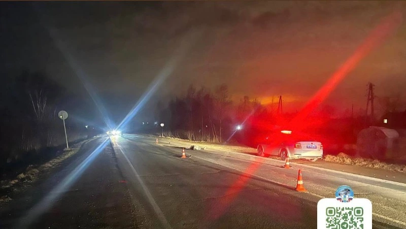 Двух человек сбили насмерть на юге Сахалина вечером 21 ноября 