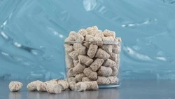 На Сахалине может появиться завод по производству кормового белка из природного газа