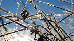 Циклон и заморозки: синоптики дали неутешительный прогноз для Сахалина