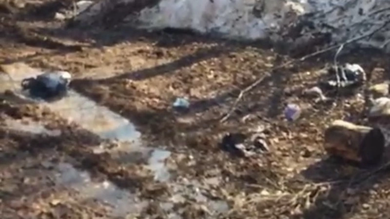 «Никто не обязан убирать за кем-то»: сахалинцы загадили популярное место отдыха