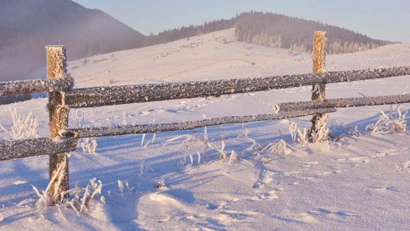 Церковный праздник 12 декабря 2024: что нельзя делать в этот день, приметы
