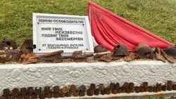 Самарское СМИ «отписало» российский остров Шумшу японцам