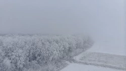 Школьников на Итурупе перевели на дистанционное обучение из-за непогоды