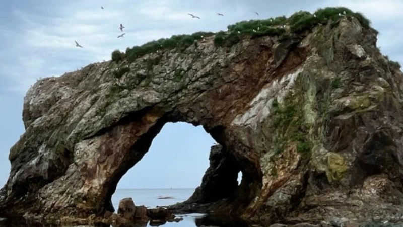 Сахалинский турмаршрут вошел в топ-10 самых популярных в России