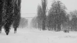 Метель накроет три района Сахалина 21 января