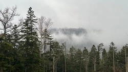 Приметы обо всем на 5 мая: что можно и нельзя делать в этот день