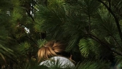 Спасатели МЧС вывели из леса подростков, которые заблудились на юге Сахалина