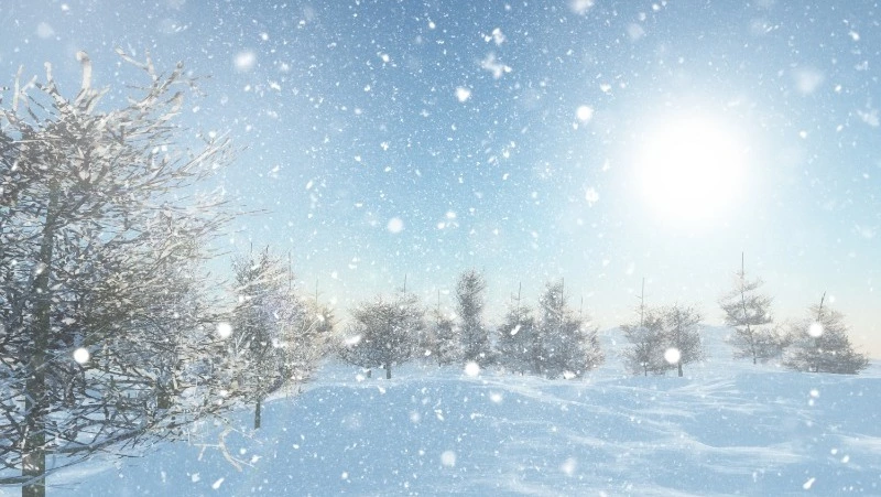 Народные приметы на 25 ноября 2023: что нельзя делать в этот день