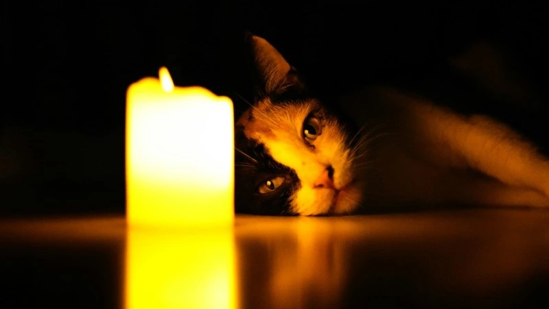 Авария оставила без света два села на юге Сахалина 24 июня