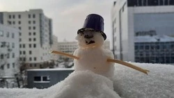 Ветреный день без снега и дождя спрогнозировали синоптики в Сахалинской области 11 января