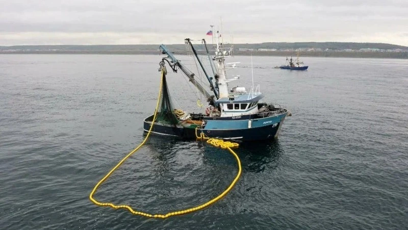 Ученые признали Южно-Курильскую промысловую зону одной из самых продуктивных