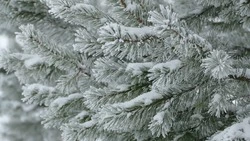 Трагедия у остановки и 77-летие области: главные новости начала 2024 года на Сахалине