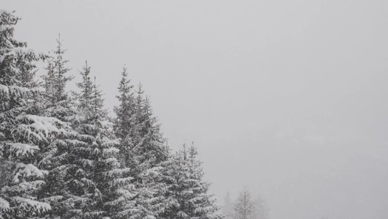 Метель накроет несколько районов Сахалинской области 15 января