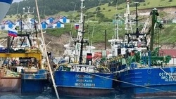 Суды трех инстанций: рыбокомбинат «Островной» скрыл улов 200 тонн минтая