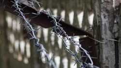 Многодетная мать с Сахалина попала за решетку из-за долга по алиментам