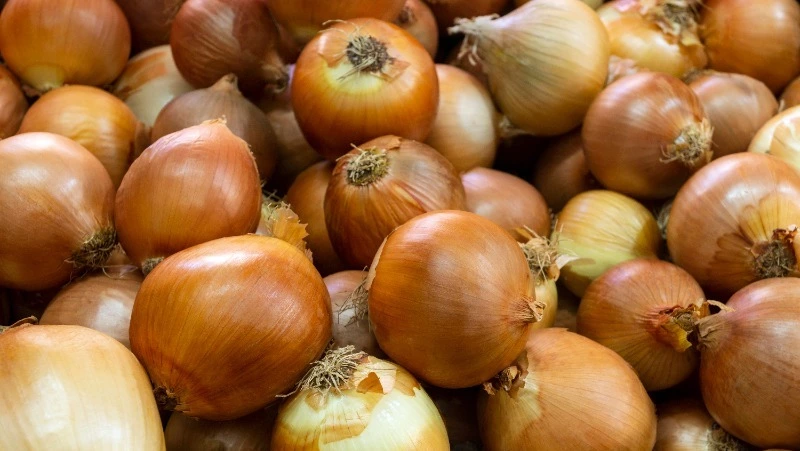 Приметы обо всем на 31 октября 2023 года: что можно и нельзя делать в этот день