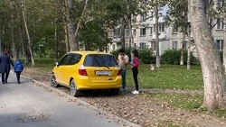 В Южно-Сахалинске двух автохамов оштрафуют по фото