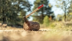 Жителю Томари выплатят 500 тысяч рублей за смерть брата на производстве 