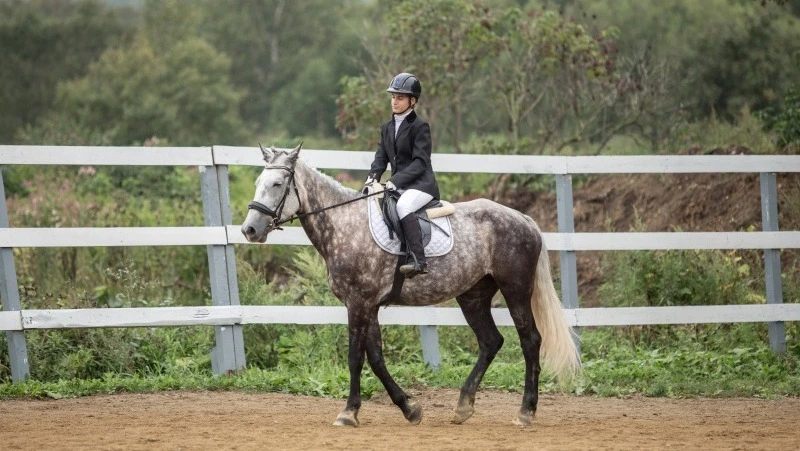 Всероссийские и региональные соревнования по конному спорту стартовали на Сахалине