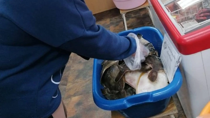 Рыбу по низким ценам доставили в четыре района Сахалина и Курил 12 октября 