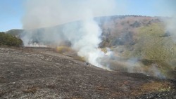 Кто виноват в лесных пожарах на Сахалине: итоги опасного сезона-2022