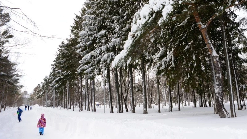 Снежно и ветрено будет в Южно-Сахалинске 6 февраля 