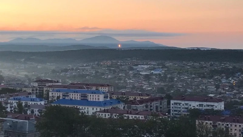 Дерево от Стивена Сигала и устричный остров: интересные факты о Корсаковском районе