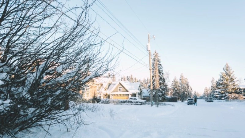 Сахалинка прописала в своем двухэтажном доме 113 иностранцев 