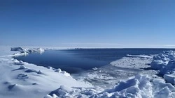 Впервые за последние 25 лет в сахалинском заливе Мордвинова в конце января отсутствует лед