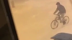 «Вот отчаянный»: снежный циклон не испугал велосипедиста в Южно-Сахалинске