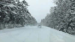 Движение автобусов закрыли из-за метели между Южно-Сахалинском и Макаровом