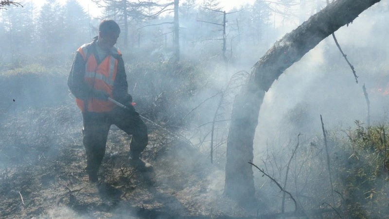 Эксперт: 8 из 10 пожаров на Сахалине в 2023 году произошли по вине человека