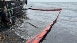 По факту выброса судна на берег моря в заливе Анива начали проверку