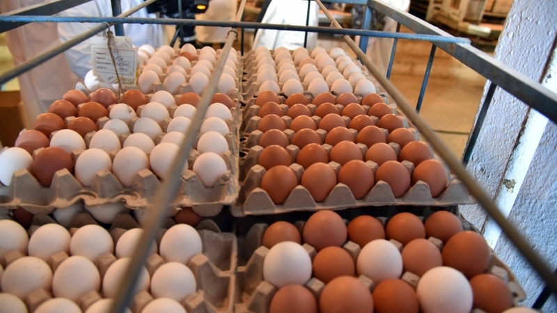 Сахалинцам и курильчанам хватит яиц перед Пасхой