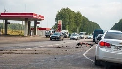 «Бухать стали по-тяжелому»: на Сахалине растет число пешеходов, пострадавших в ДТП