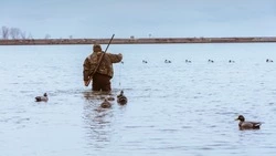 На Сахалине открыли прием заявлений и выдачу разрешений на охоту на птиц