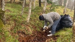 Туристы замусорили «Горный воздух» в Южно-Сахалинске во время пеших прогулок