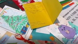 Школьники из Южно-Сахалинска отправили новогодние открытки бойцам на СВО
