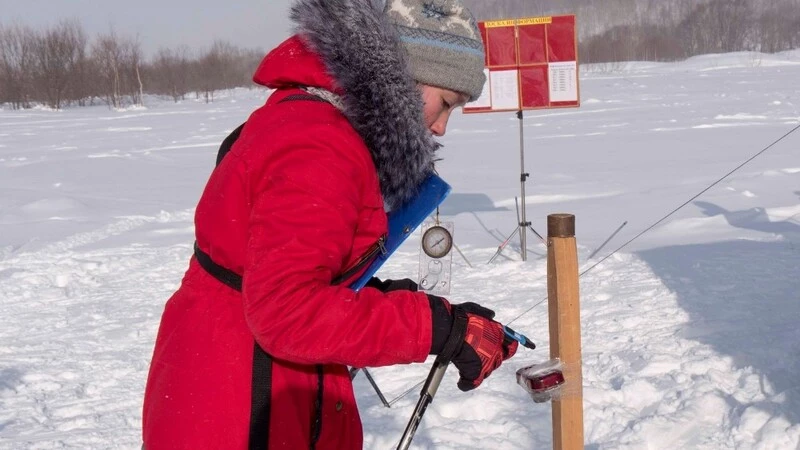 На Сахалине назвали лучших спортивных ориентировщиков
