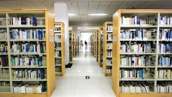 Книжный топ-5