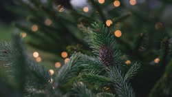 Пять ошибок при установке новогодней елки назвали жителям Сахалина