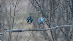 Пасмурно и слабые ветры: погода на Сахалине и Курилах 10 февраля