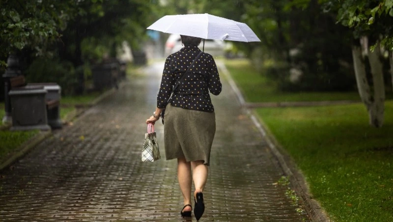 Вильфанд: «На Сахалине в сентябре прогнозируют обильные осадки»