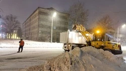 Южно-Сахалинск «откапывают» от снега свыше 150 единиц техники 28 января